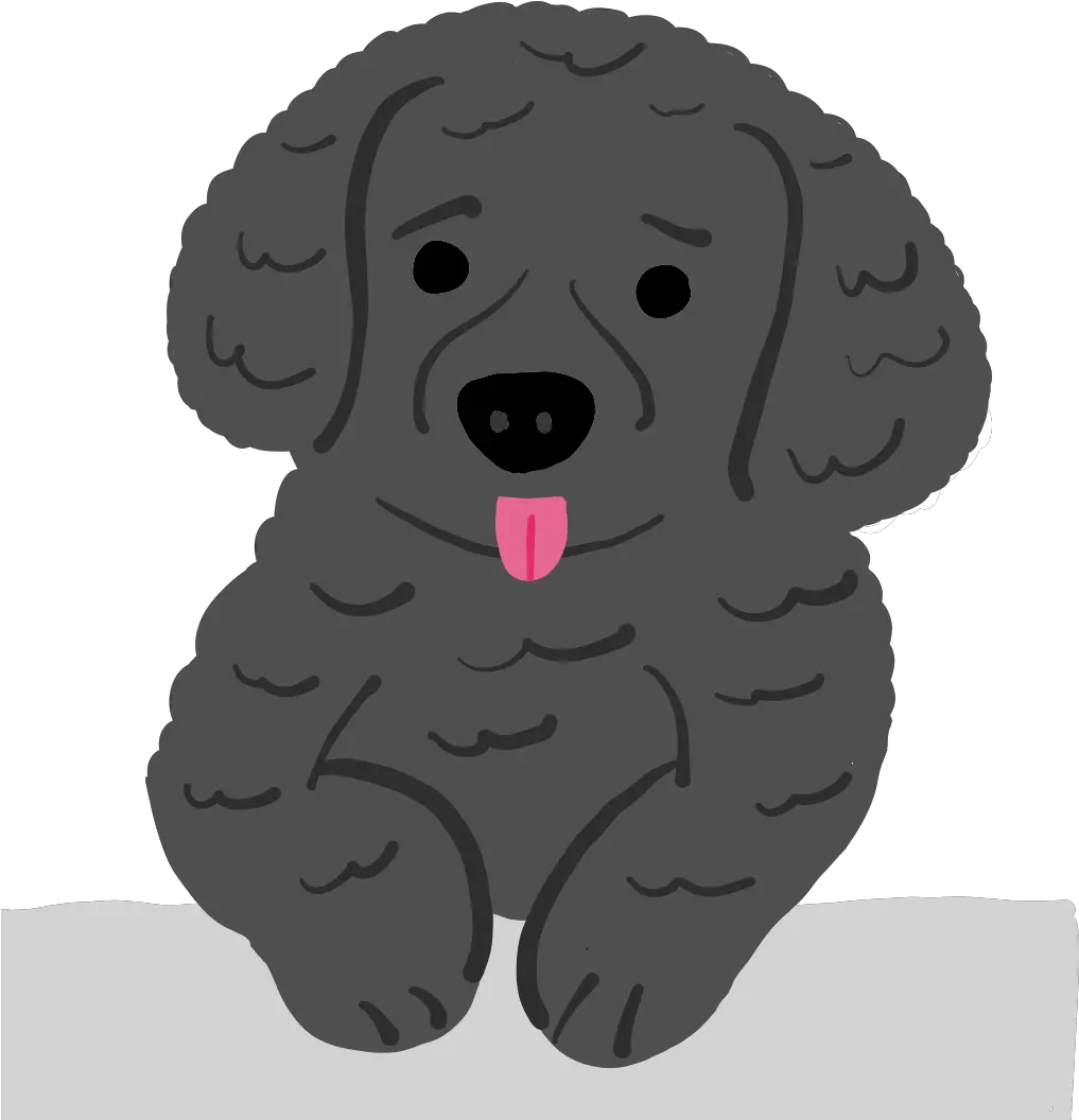 Illustrations U2014 Jeffrey Yan Png Poodle Icon