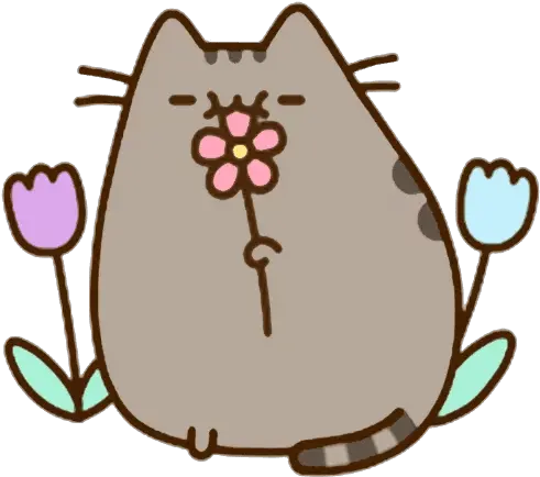 Download Pusheen Kitten Area Flower Cat Cute Pusheen Png Pusheen Transparent Background