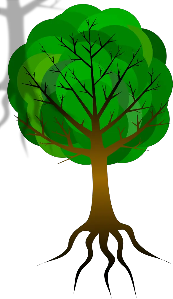 Tree Branches Png Svg Clip Art For Web Esqueleto De Una Planta Branches Icon