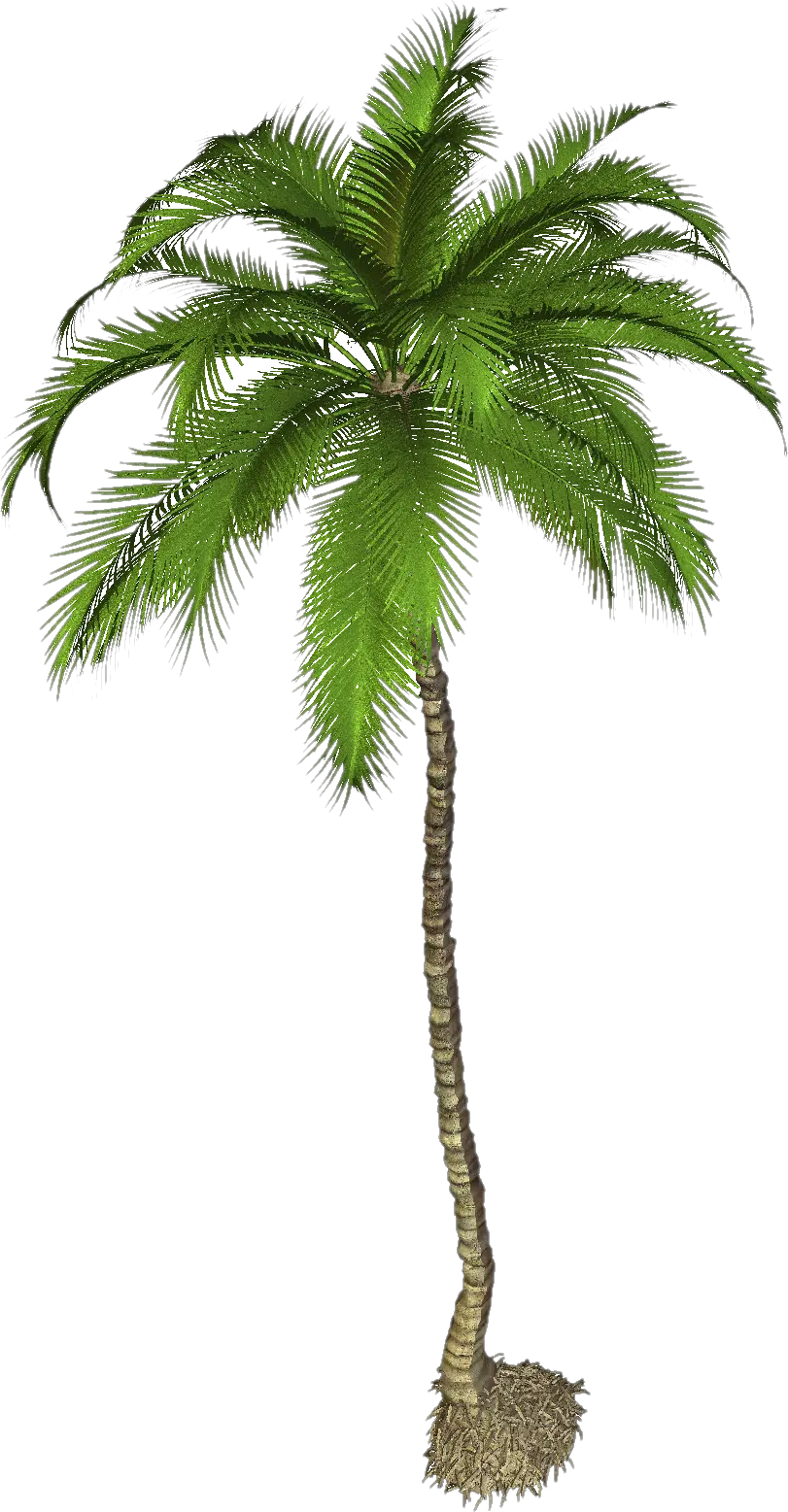 Mango Tree Png Hd