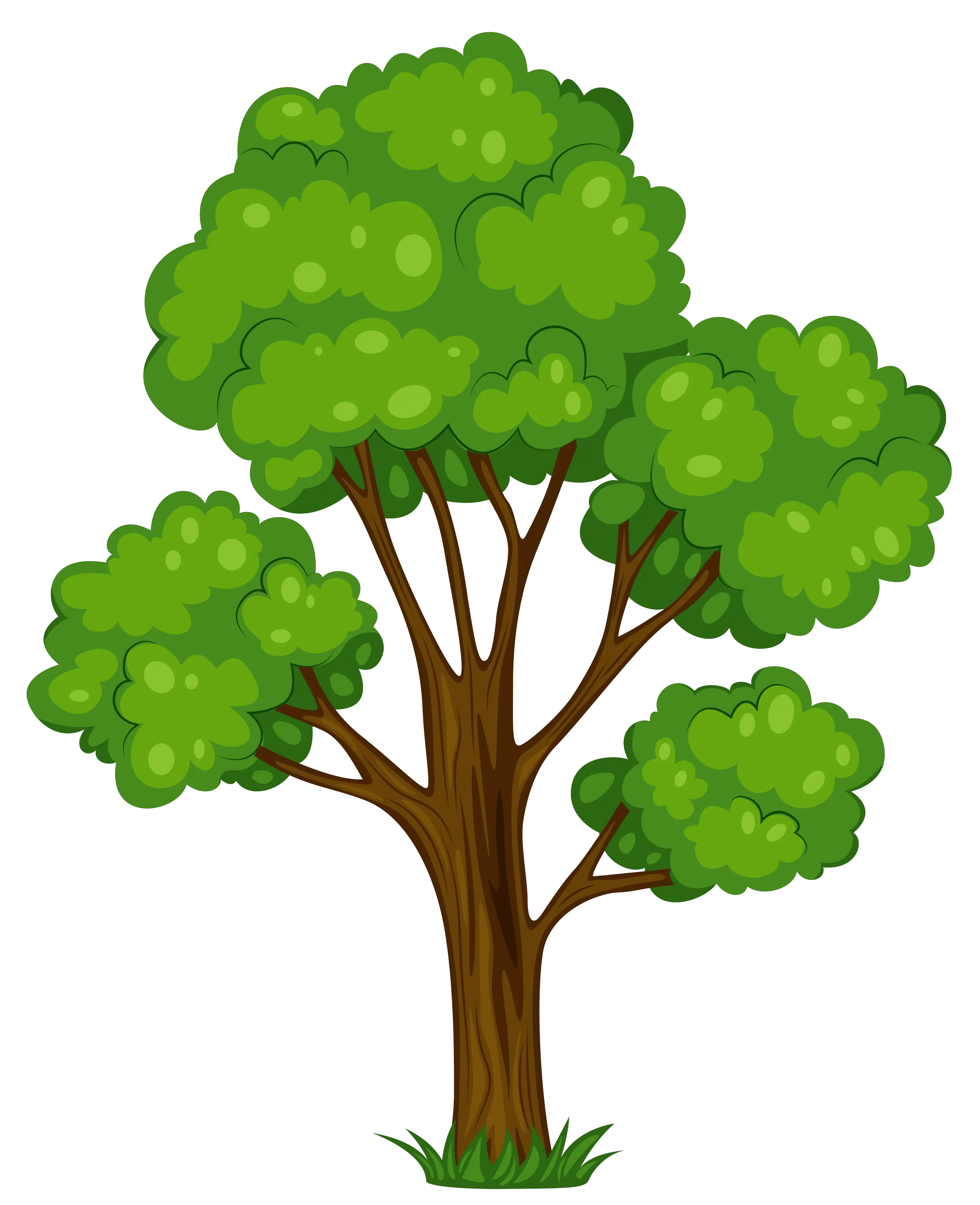 Tree Trunk Png Hd