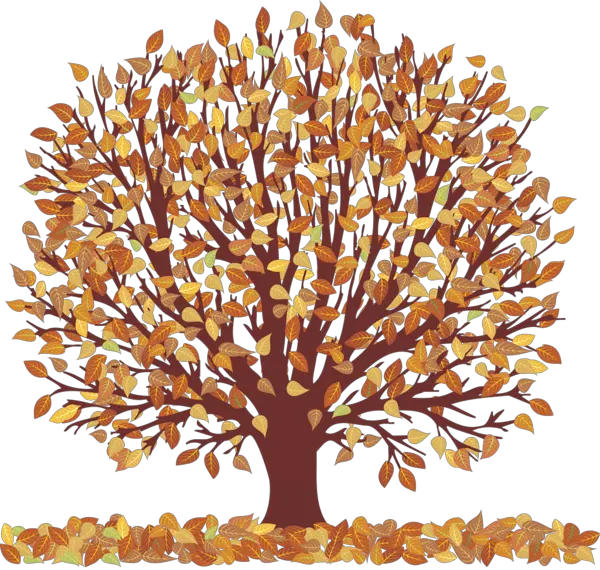 Trees And Plants Png