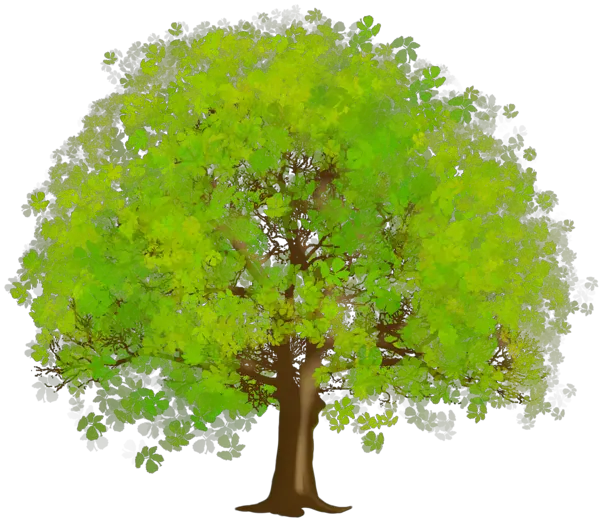 Tree Clipart Black And White Png