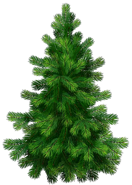 Trees Sketch Png