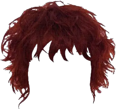 Mens Hair Png Picture Weird Hairstyles Png Men Hair Png