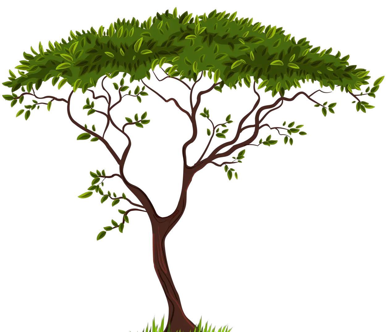 Banyan Tree Png Hd