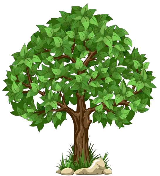 2d Tree Png