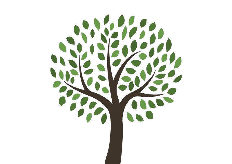 Tree Drawing Png