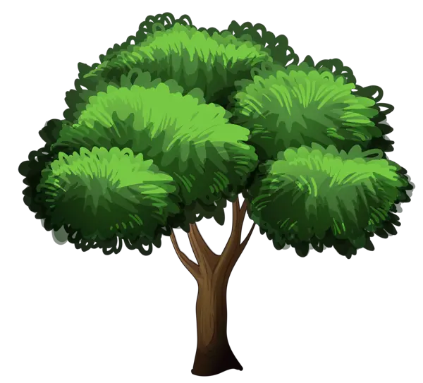 Jungle Trees Png