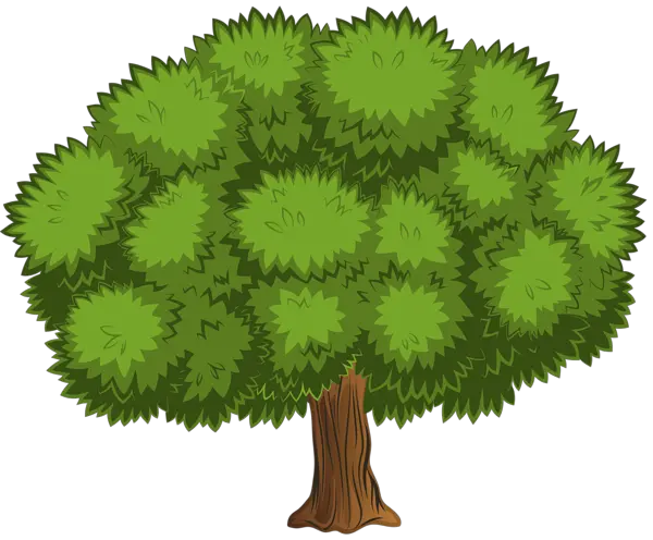 High Resolution Coconut Tree Png