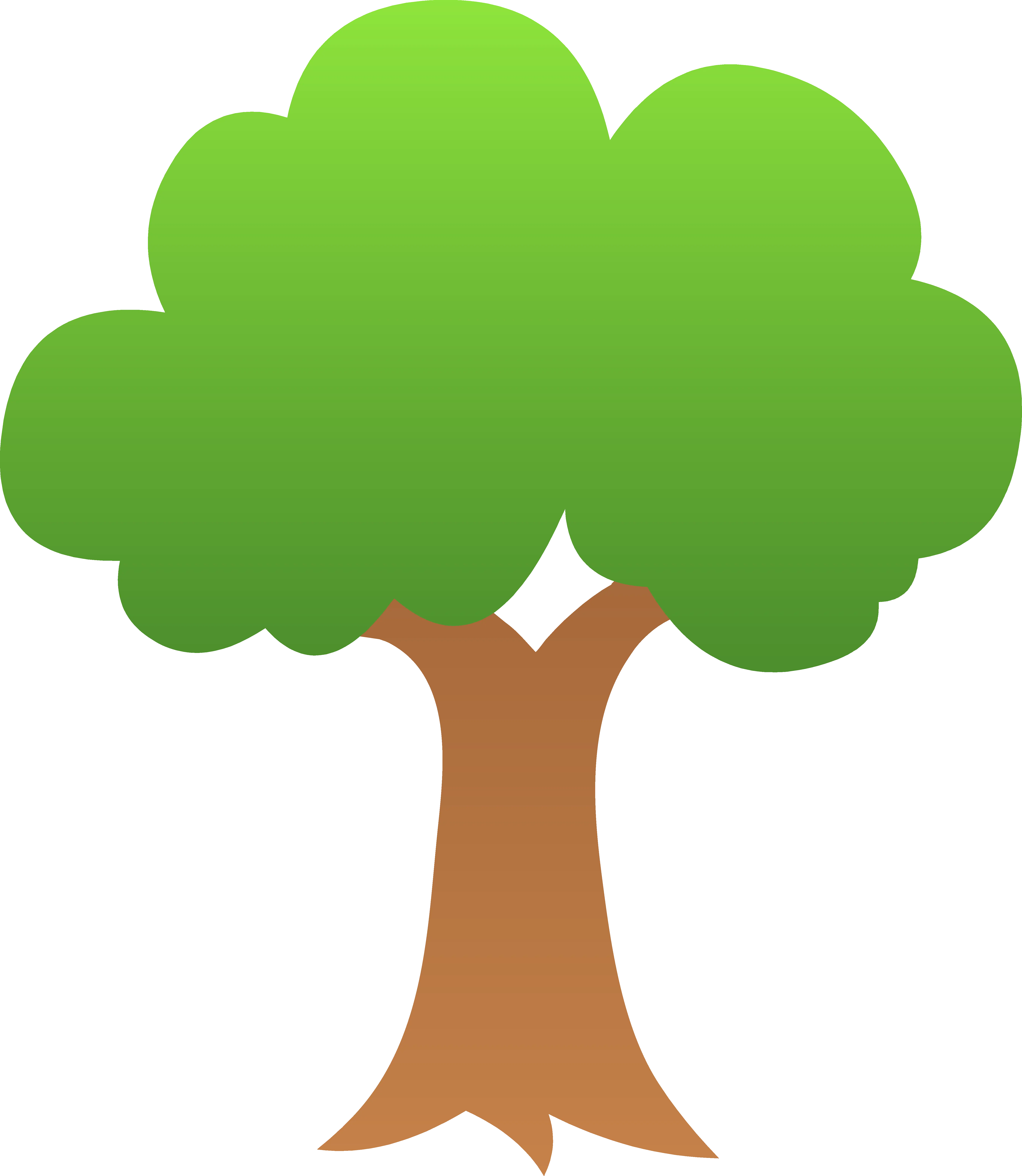 Ashoka Tree Png