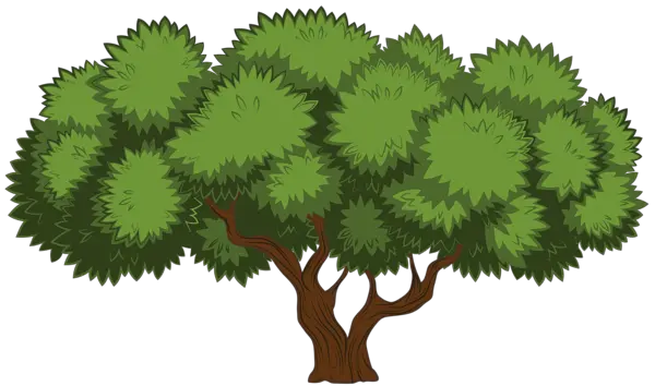 Tree Black Png