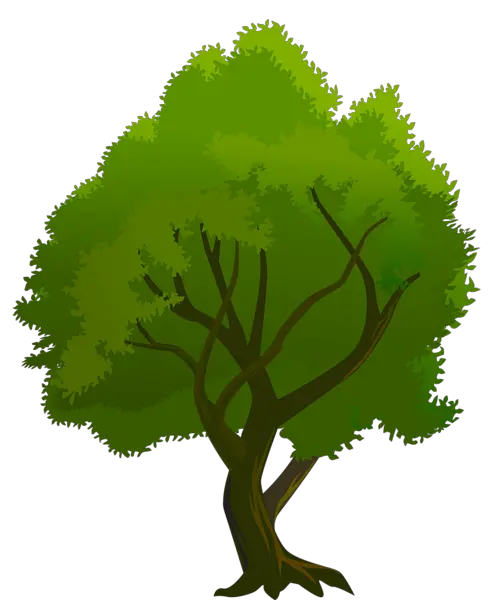 Tree Plant Png