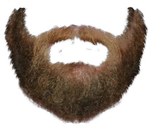 Transparent Beard Png Beard Png Transparent Beard Transparent Background