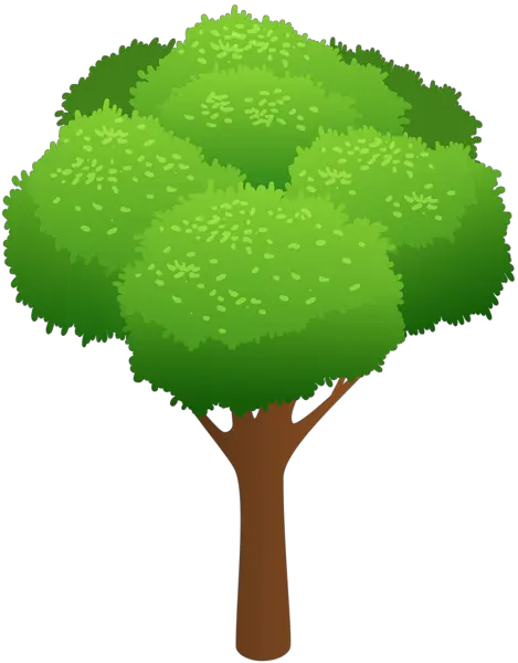 Peepal Tree Png