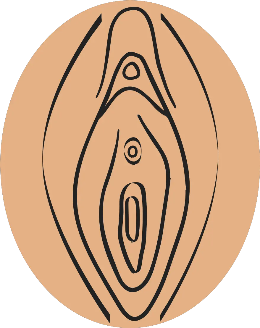 Download Hd Labia Minora Clitoris And Labia Minora Of Vagina Png Vagina Png