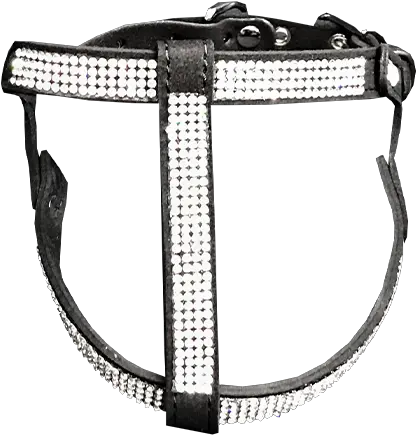 Luxury Dog Boutique U2014 Winter Coats Harnesses Unique Martingale Png Diamond Dogs Icon