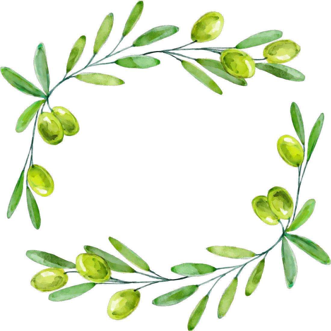 Decorative Leaf Border Png Branch