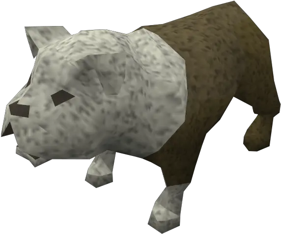 Bulldog The Runescape Wiki Boar Png Bulldog Png