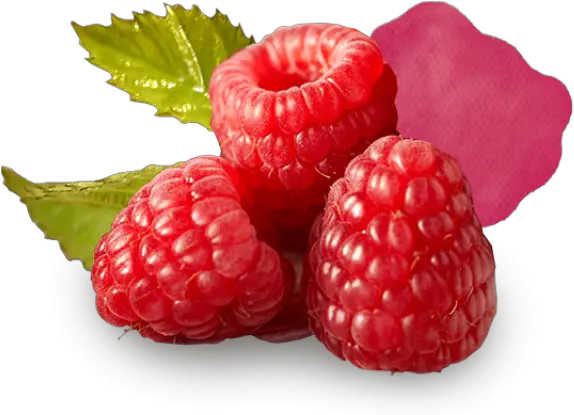 Red Berry Png Graphic Library Stock Red Berry Berry Png