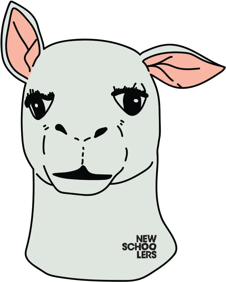 Design Aidan Cameron Cartoon Png Llama Png