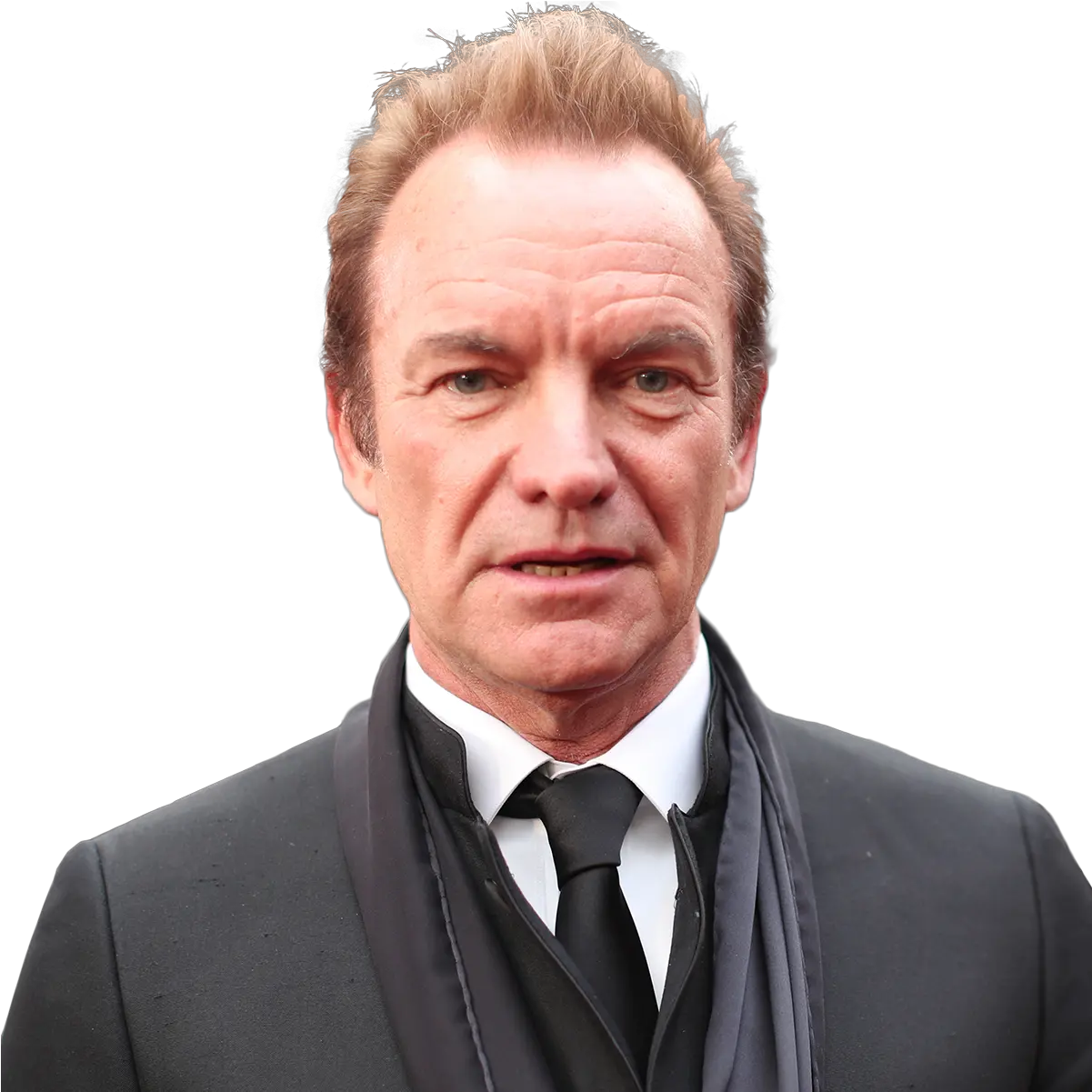 Download Sting Png Image With No Sting Singer Age Sting Png