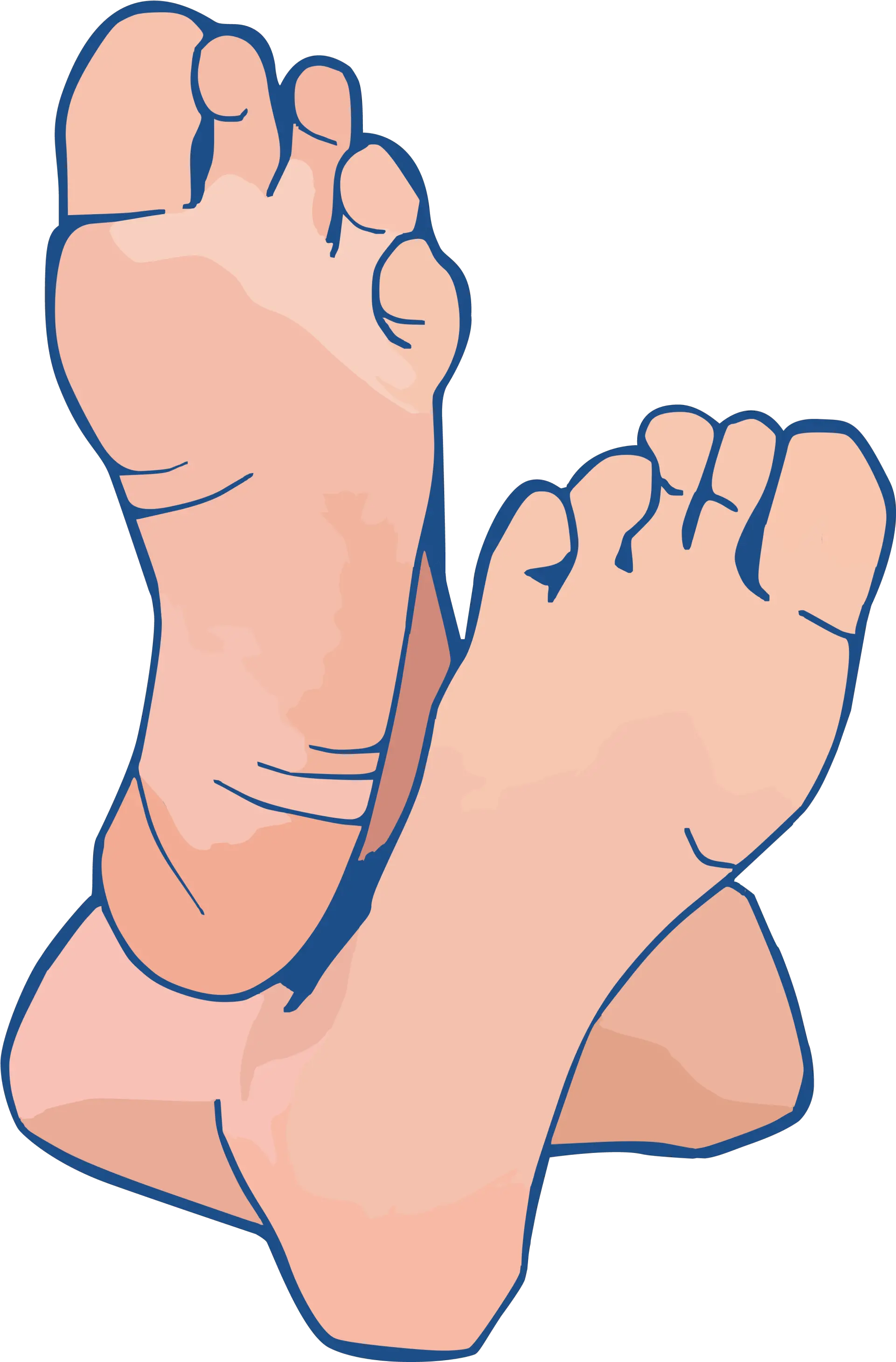 Foot Focus Home Feet Clipart Transparent Png Feet Transparent