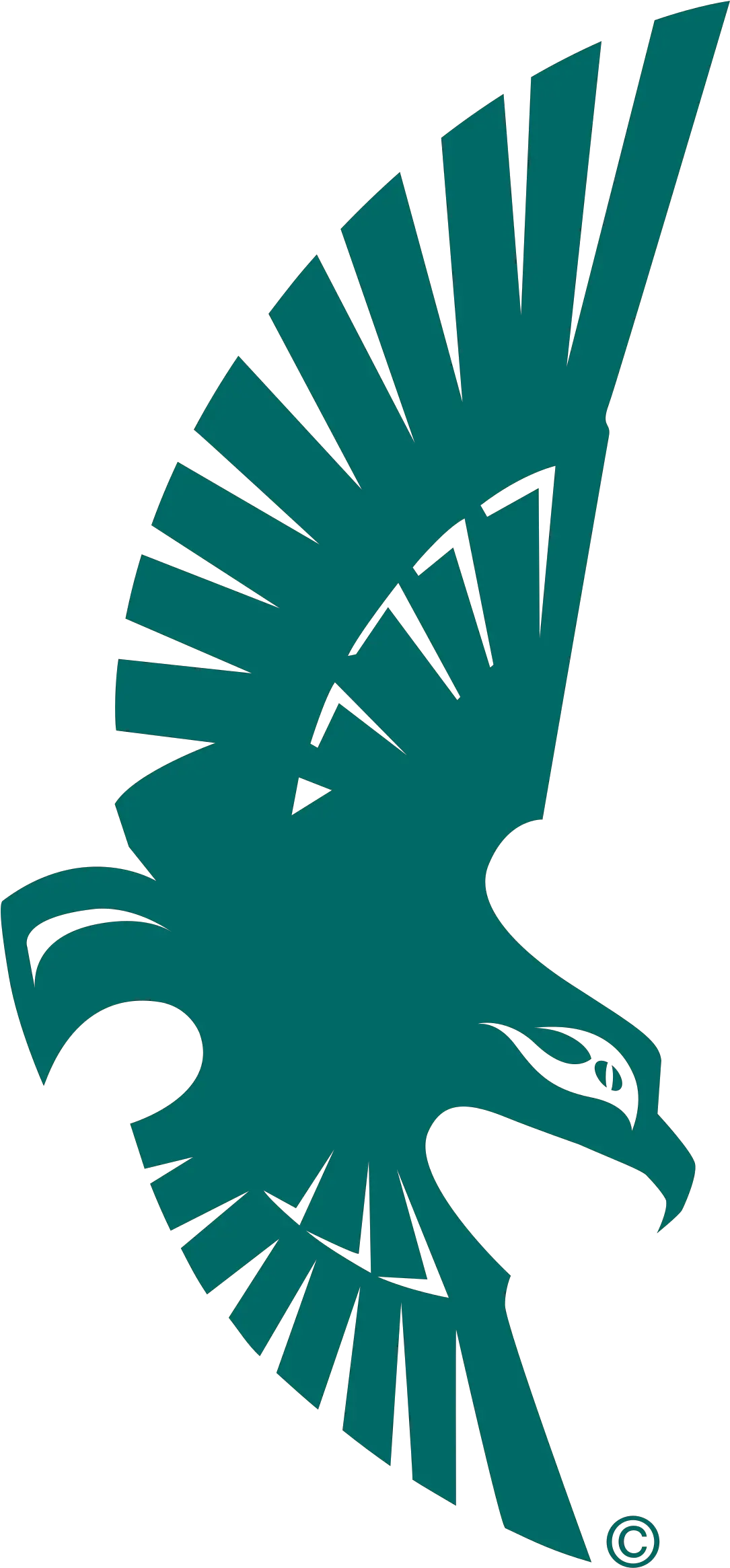 Download Soaring Seahawk Logo Png Unc Wilmington Seahawks Seahawk Logo Png