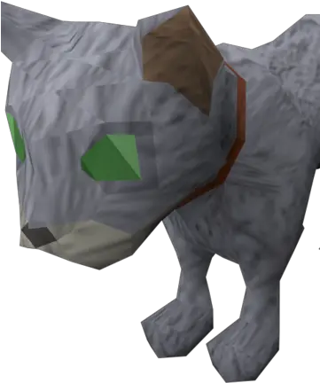 Bones Kitten Runescape Wiki Fandom Black Rhinoceros Png Kitten Png