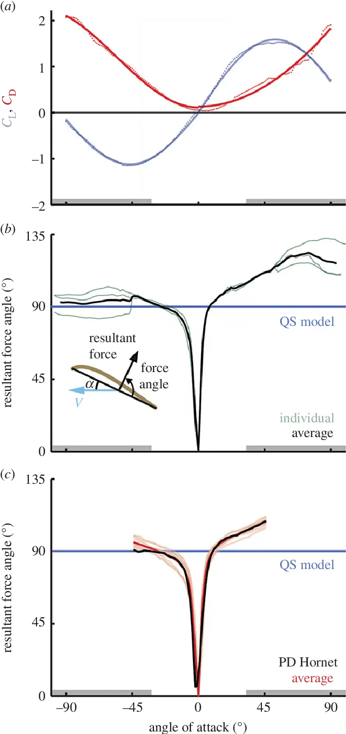 Quasi Steady Lift And Drag Model Approximation Of Diagram Png Angle Wings Png