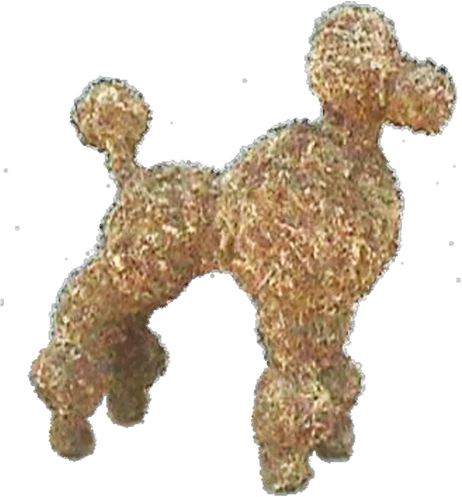 Toy Poodle Standard Poodle Png Poodle Png