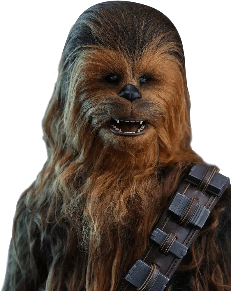 Chewbacca Png Image Transparent Chewbacca Transparent Background Chewbacca Transparent