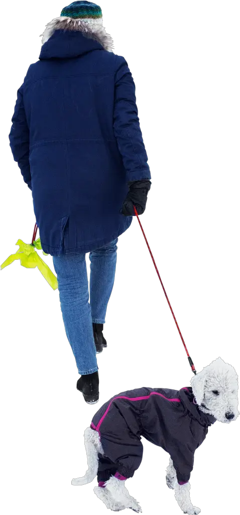 Walking Archives Skalgubbar Person Walking Snow Png Walking People Png