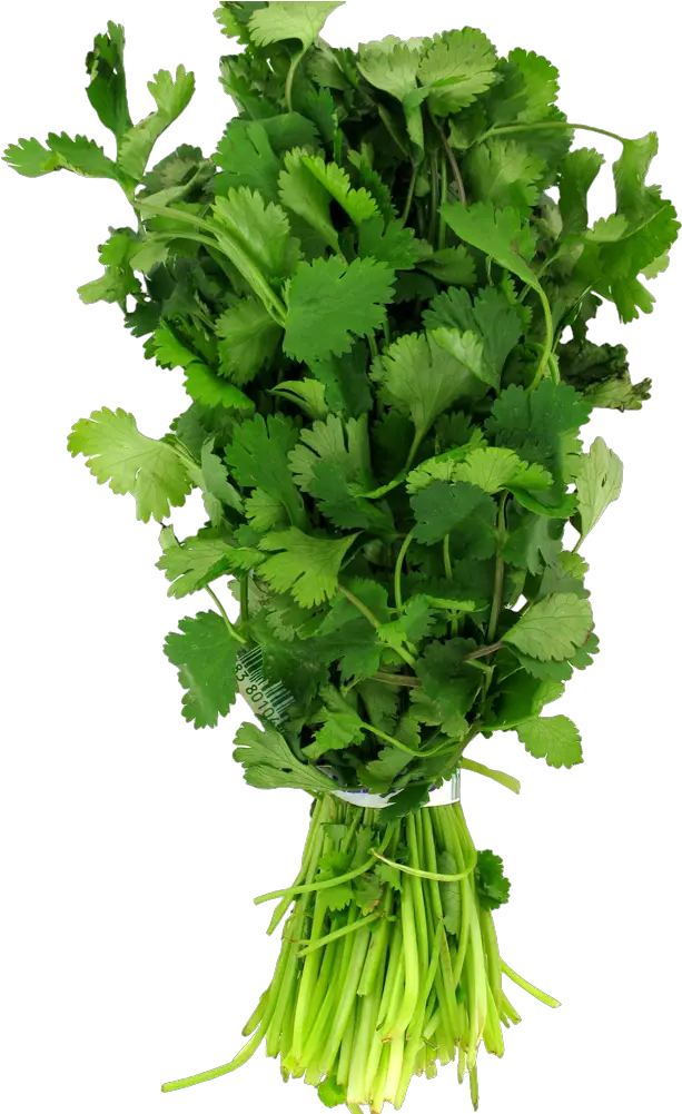 Food 4 Less Bunched Cilantro 1 Each Parsley Png Cilantro Png