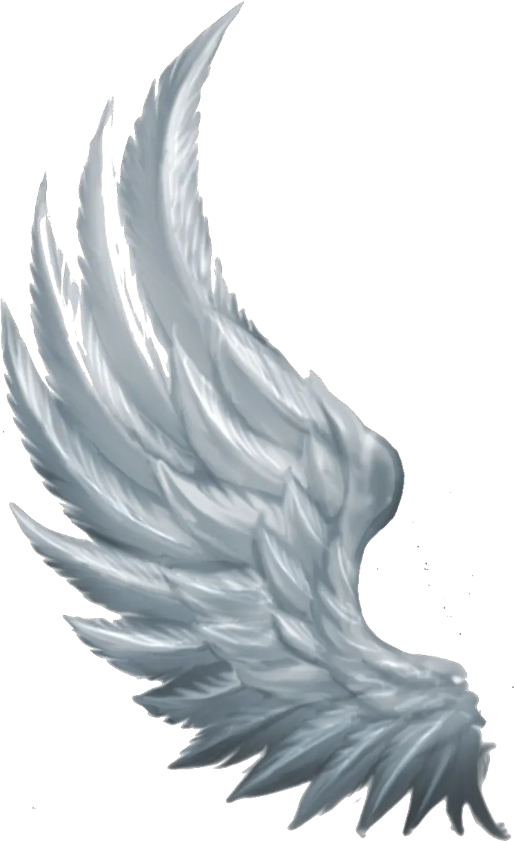 Wings Angel Angel Wings Side View Png Wing Png