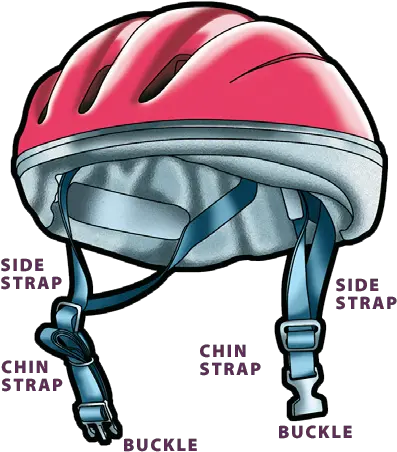 Fitting Your Helmet Bike Safe Im Bicycle Helmet Straps Png Bike Helmet Png