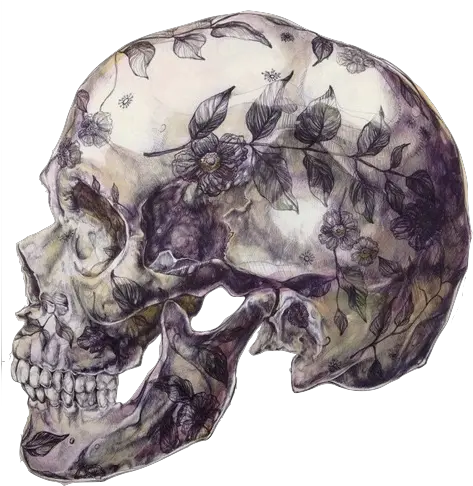 Download Transparency Shit Blunt Transparent Tumblr Floral Skull Art Png Tumblr Png Transparency