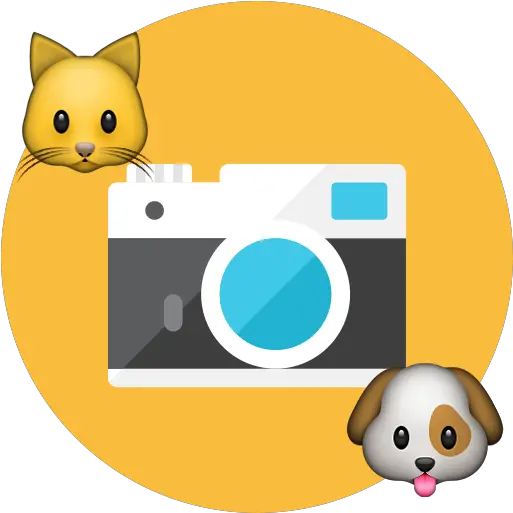 Emoji Camera Maker Camera Round Icon Png Camera Emoji Png