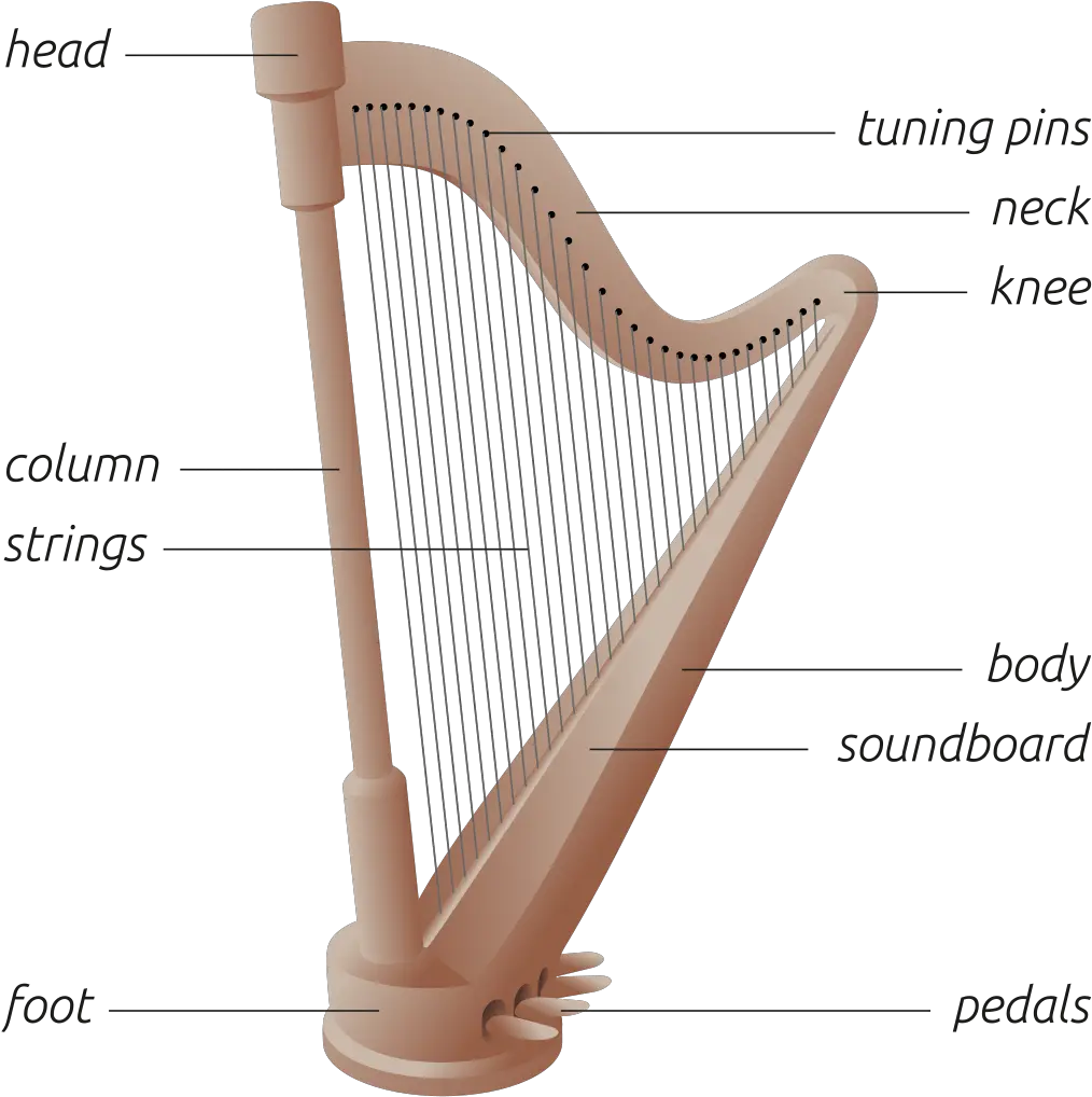 Harp Diagram Of A Harp Png Harp Png