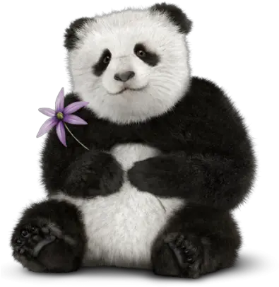 Panda Background Download With A Flower 28865 Transparentpng Transparent Real Panda Panda Transparent