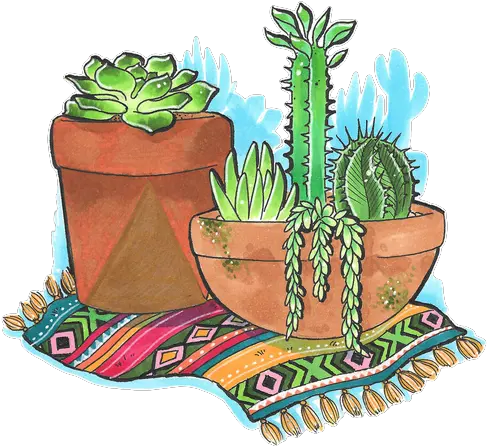 Png Edit Tumblr Overlay Sticker Cactus Overlays Tumblr Cactus Png