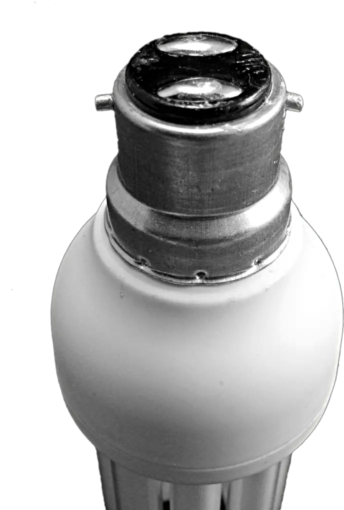 Bulb Bulb Bottoms Png Bulb Png