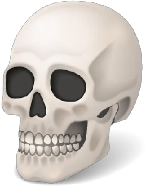 Png Free Download Skeleton Icon Png Free Skull Icon Png