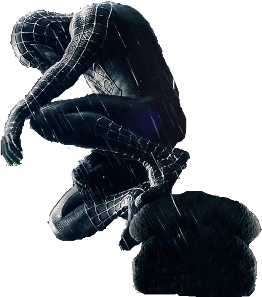 Download Spiderman Black Transparent Background Hq Png Image Black Spider Man Png Spider Transparent Background