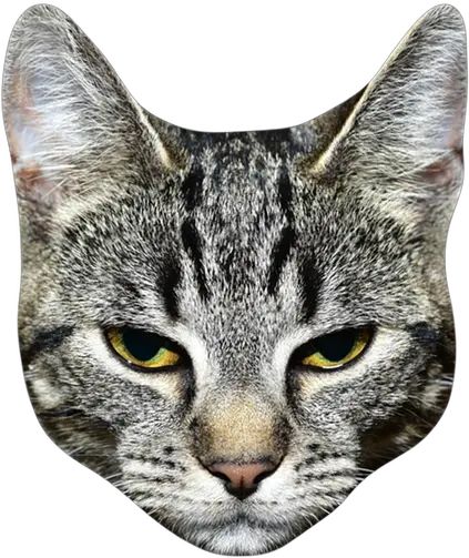 Cat Head Png Cat Head Transparent Background Cat Head Png