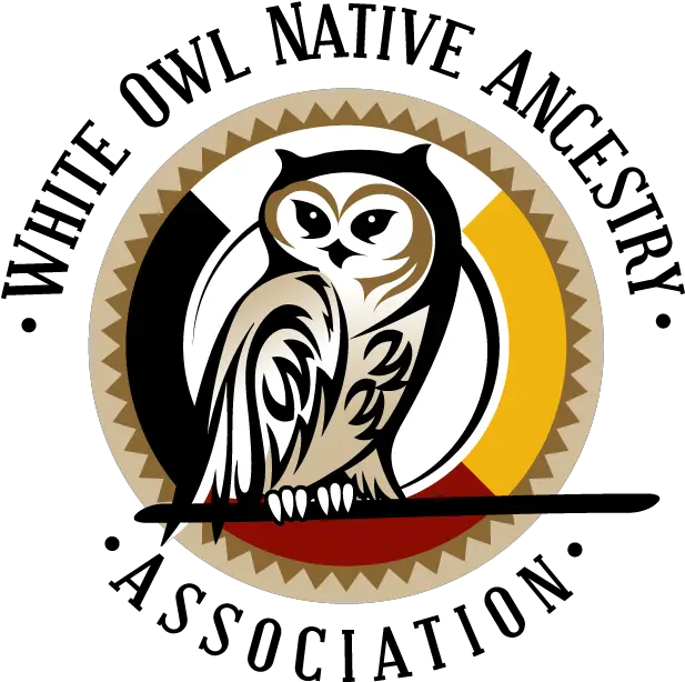 White White Owl Native Ancestry Association Png Owl Logo