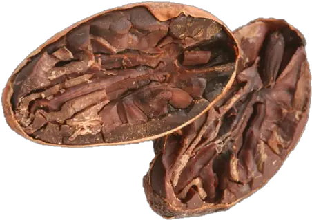 Peru Organic Cocoa Beans 1 Kg Cocoa Bean Aztec Cacao Png Cocoa Png