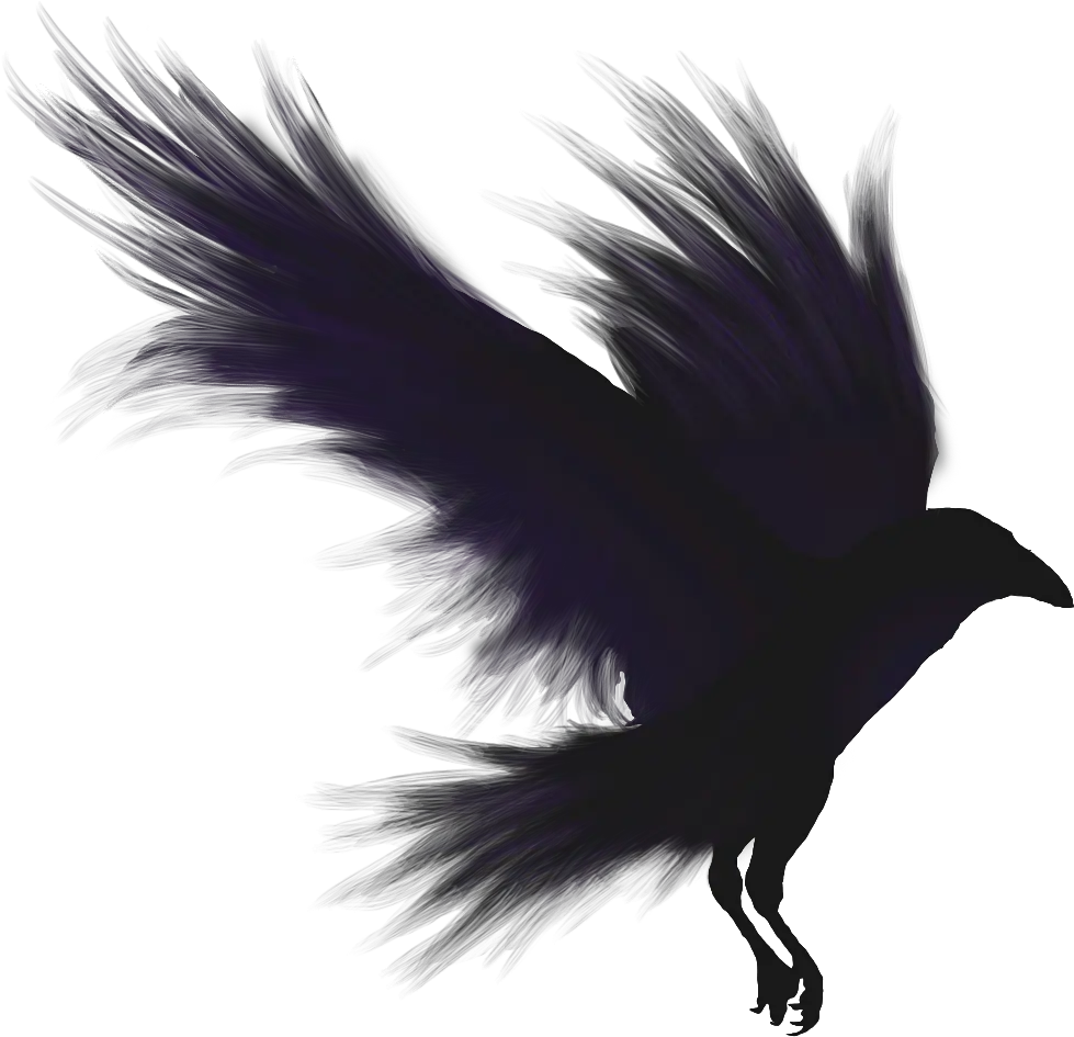 Download Crows Shadow Emblem Raven Png Raven Png