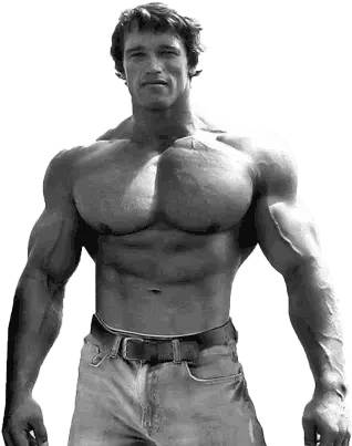 Arnold Stickers Set For Inspirational Arnold Schwarzenegger Png Arnold Schwarzenegger Transparent