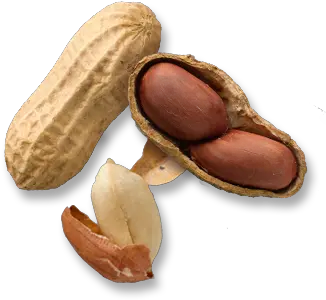 Peanut Butter Banana Almond Vs Peanut Nutrition Png Peanut Transparent